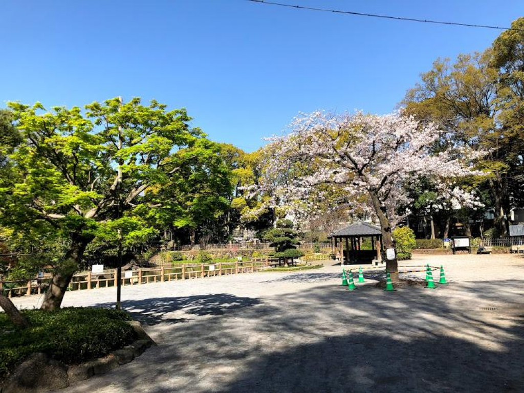 大井町の家　新築デザイナーズ住宅　堂々完成　 | 新築一戸建て・新築分譲住宅物件情報